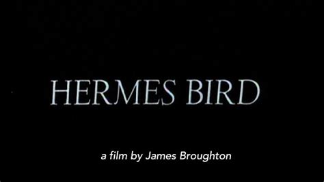 hermes bird short film watch|Hermes Bird (1979) .